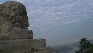 lion over the sava